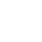 icon_audit